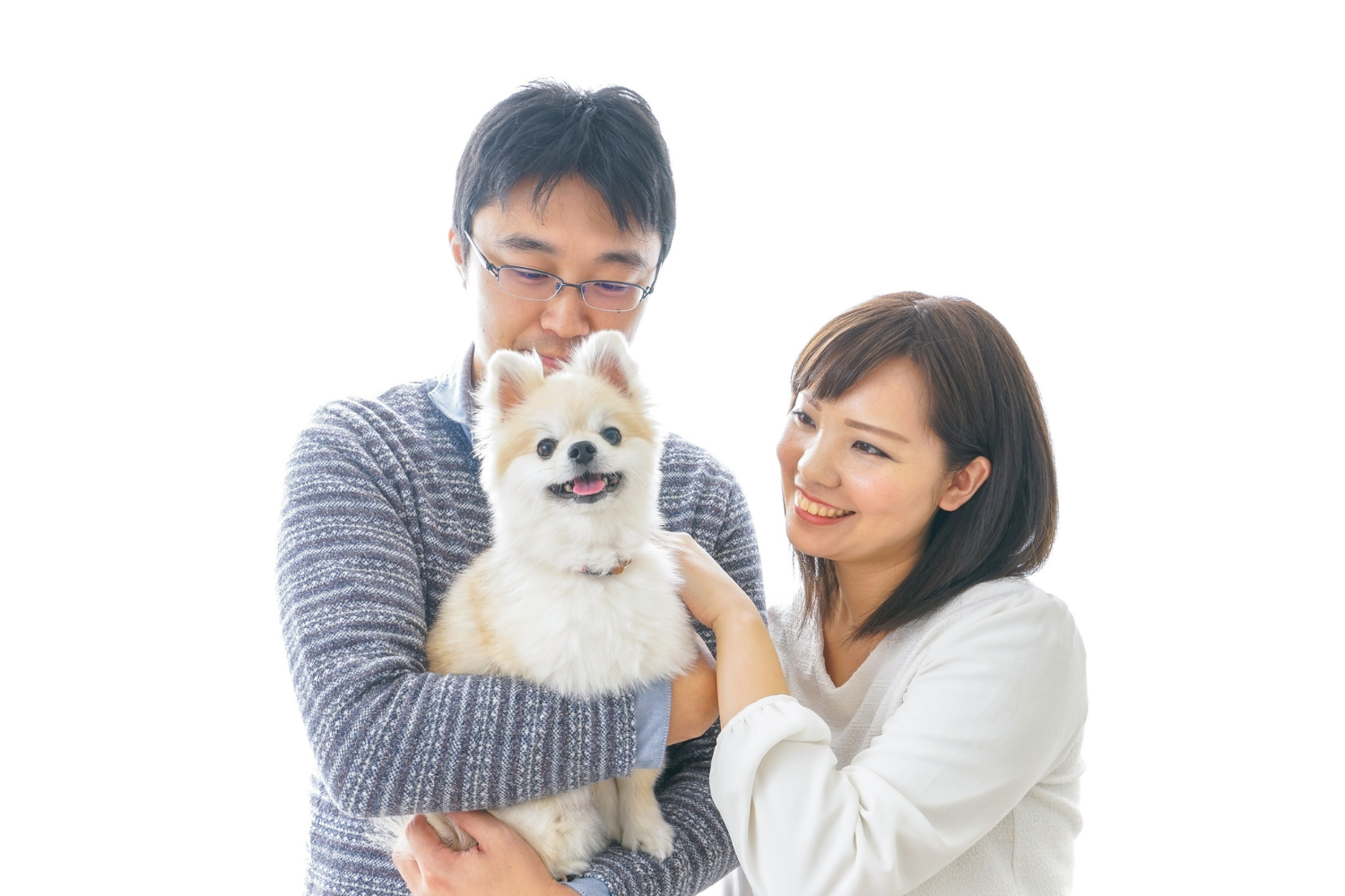 Teacup puppies for sale Teacup puppies for sale near me teacup puppy for sale Teacup puppies near me Affordable Puppies For Sale Puppies For Sale puppies for sale nearby puppies for sale cheap